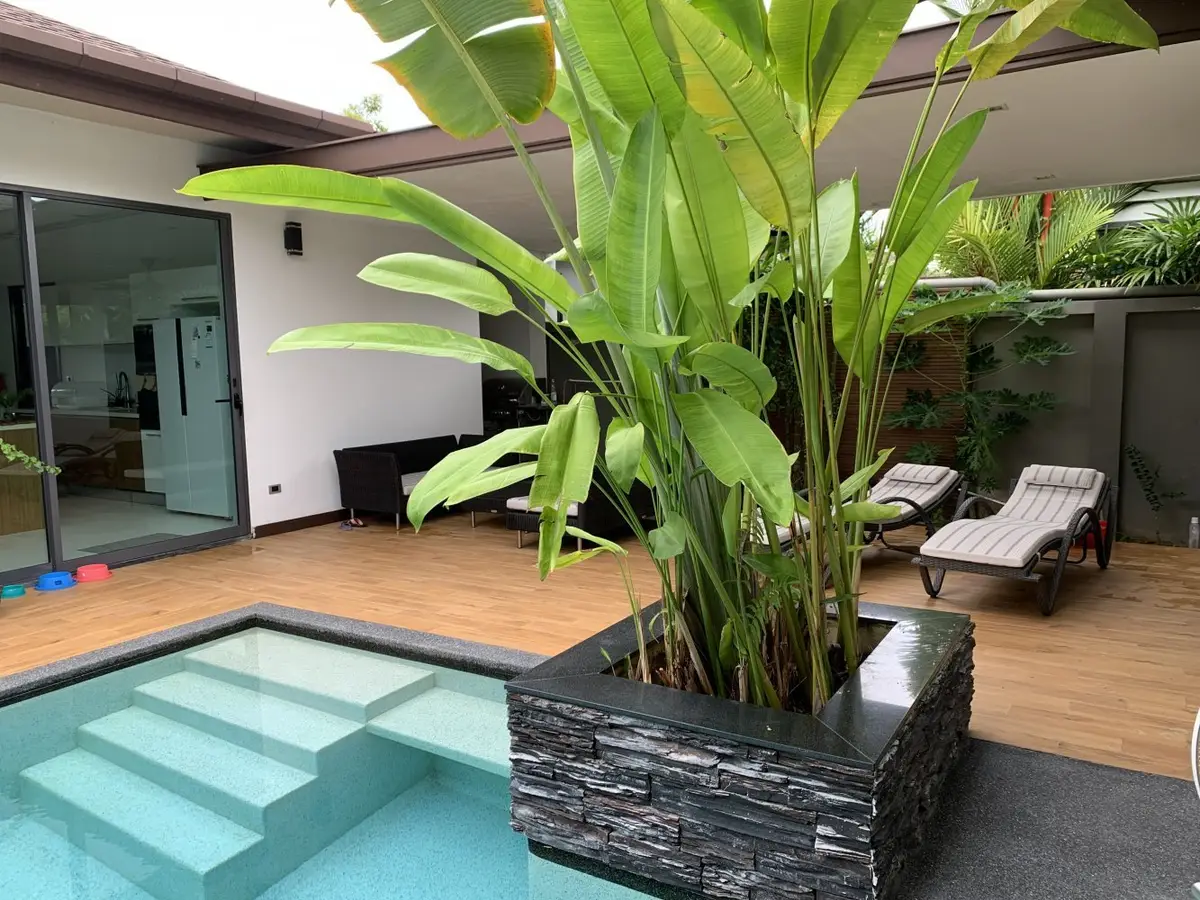 The Lake House中的3卧室泳池别墅，绿旺它来 — Cherng Talay · 3/15