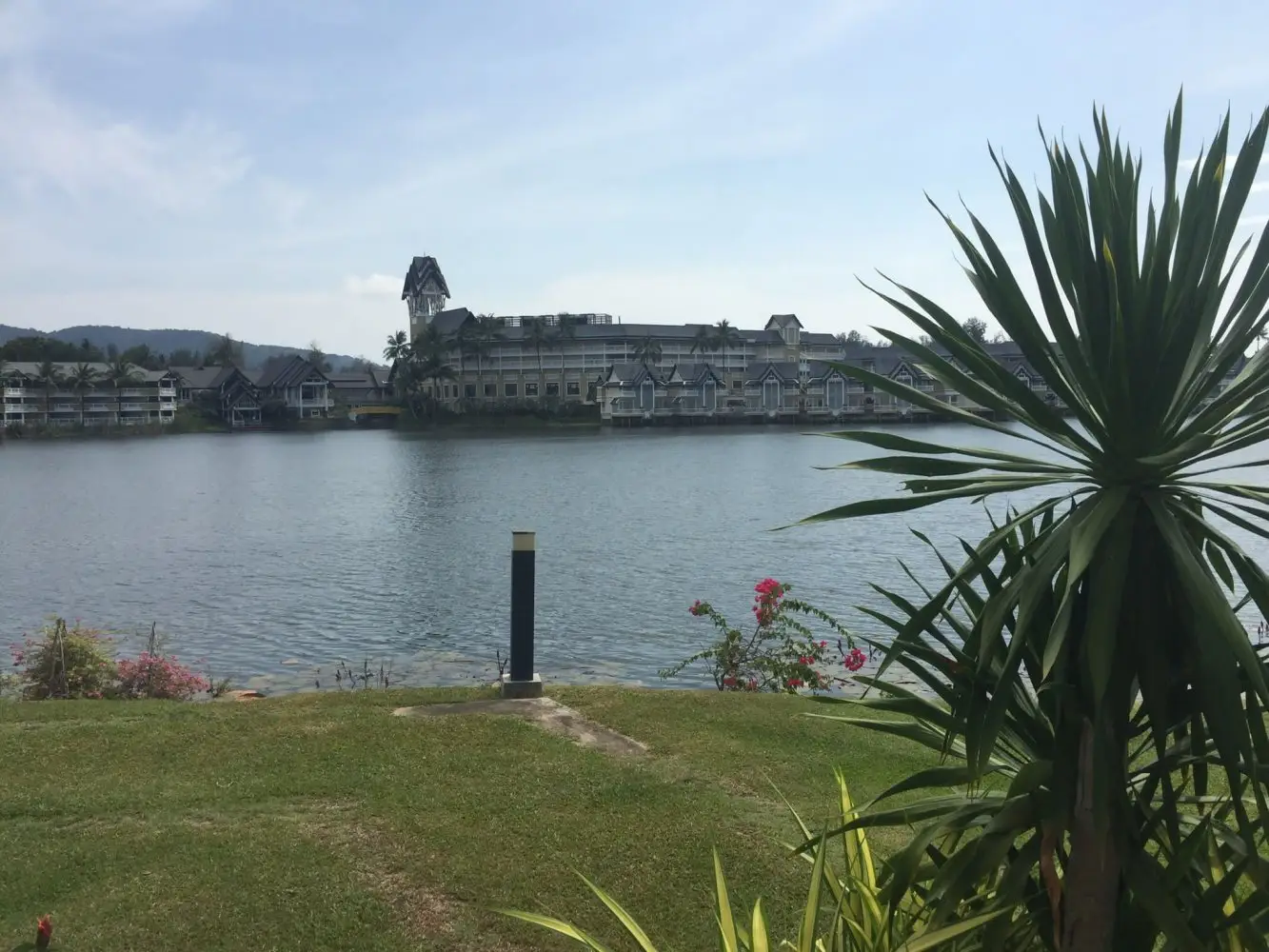 Allamanda 1